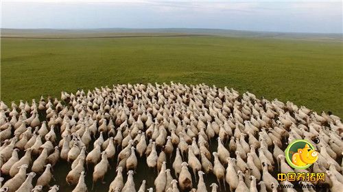 从移动餐车小贩,到年销2000万的企业老板!他靠什么扭转命运?