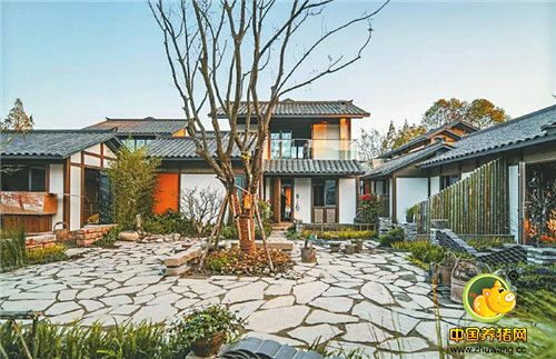 探索乡村振兴新样本 助力四川美丽乡村建设