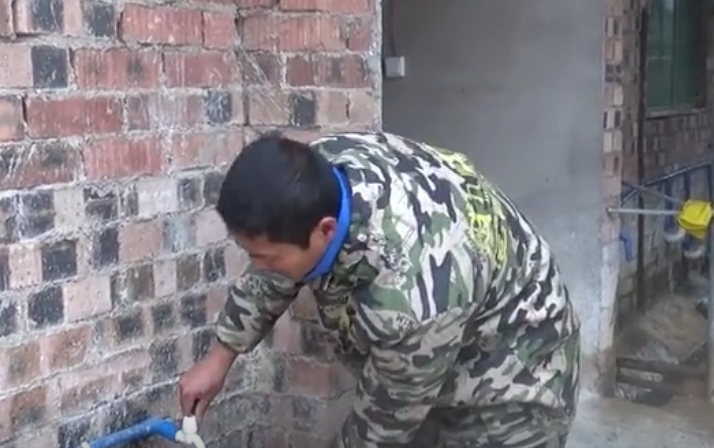 养猪户用这个办法治疗大猪咳嗽,用一天就好,你学会了吗