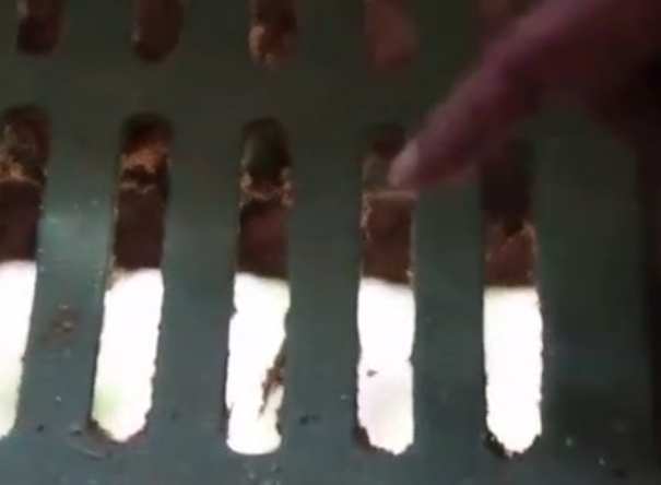 男子创新养猪新方法,不用清猪粪,还能比普通猪舍多养三倍