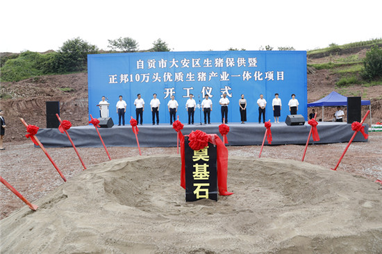 大安区生猪保供暨正邦10万头优质生猪产业一体化项目开工