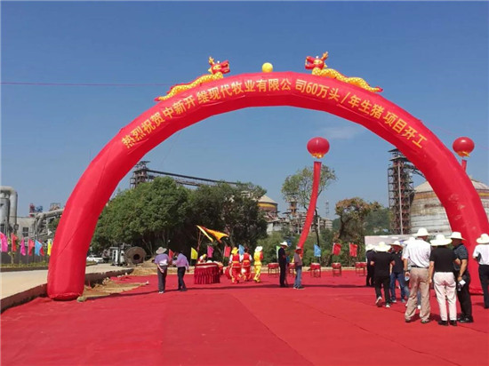 大开眼界!水泥厂里竟然要开养电子游艺网站
 还投了20亿...