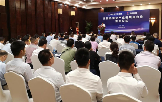 正邦与广西大型国企南宁农工商集团联手养猪,打造现代农业全产业链项目