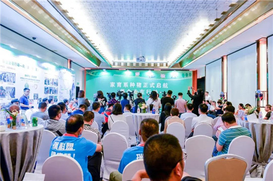 崛起!家育种猪启航,我国生猪育种领域再添新生力量!