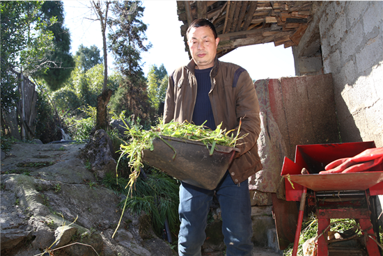 绥阳“独臂”农民养猪牛,一年收入10多万
