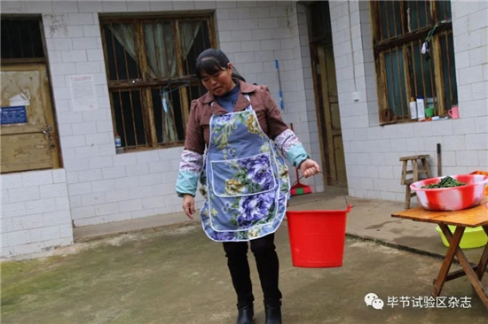 杨孝英:多养猪,供孩子多读书