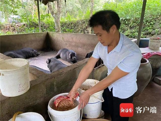 观看脱贫夜校学习养猪 海口夫妻勤劳苦干年收入递增