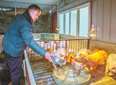 养猪前3年欠债18万元,被帮扶2年还清!