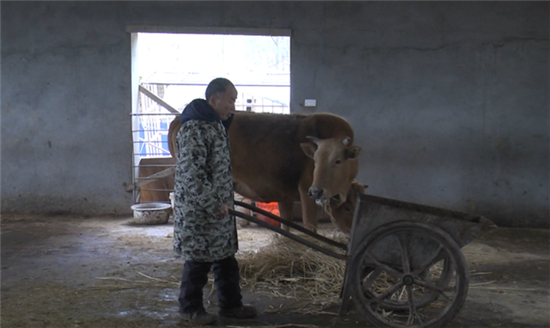 刘常广:养牛养猪摘“穷帽”,贫困户变身“示范户”!