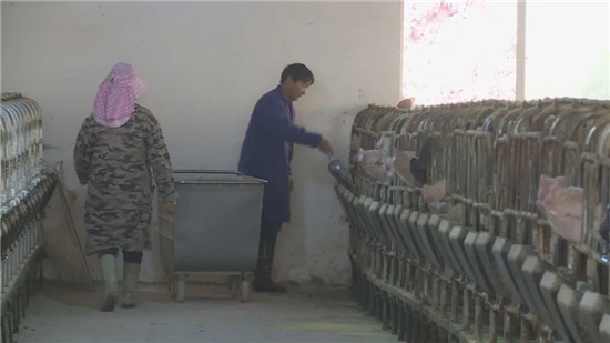 从负债累累到年利润200多万元,他如何翻身?