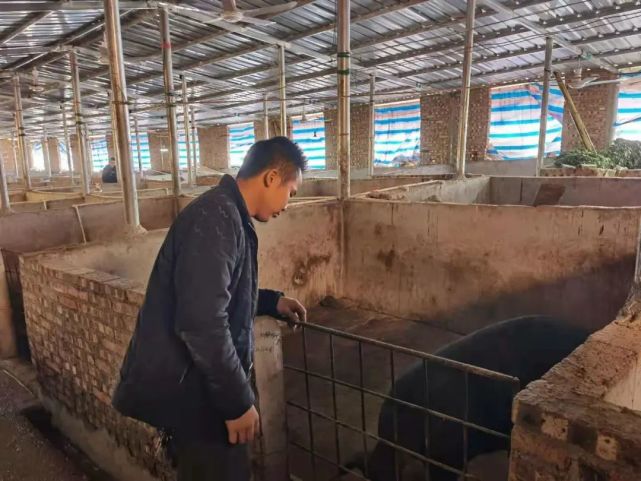 一口气“赌”20万!贵州农村小伙:怕什么