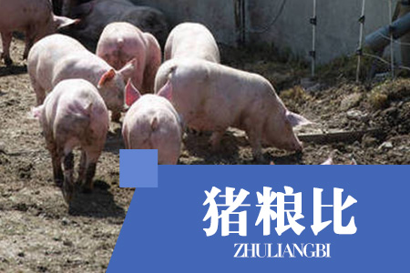 2021年01月27日猪粮比:生猪价格及玉米批发价格
