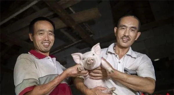 中国电子游艺网站下载安装