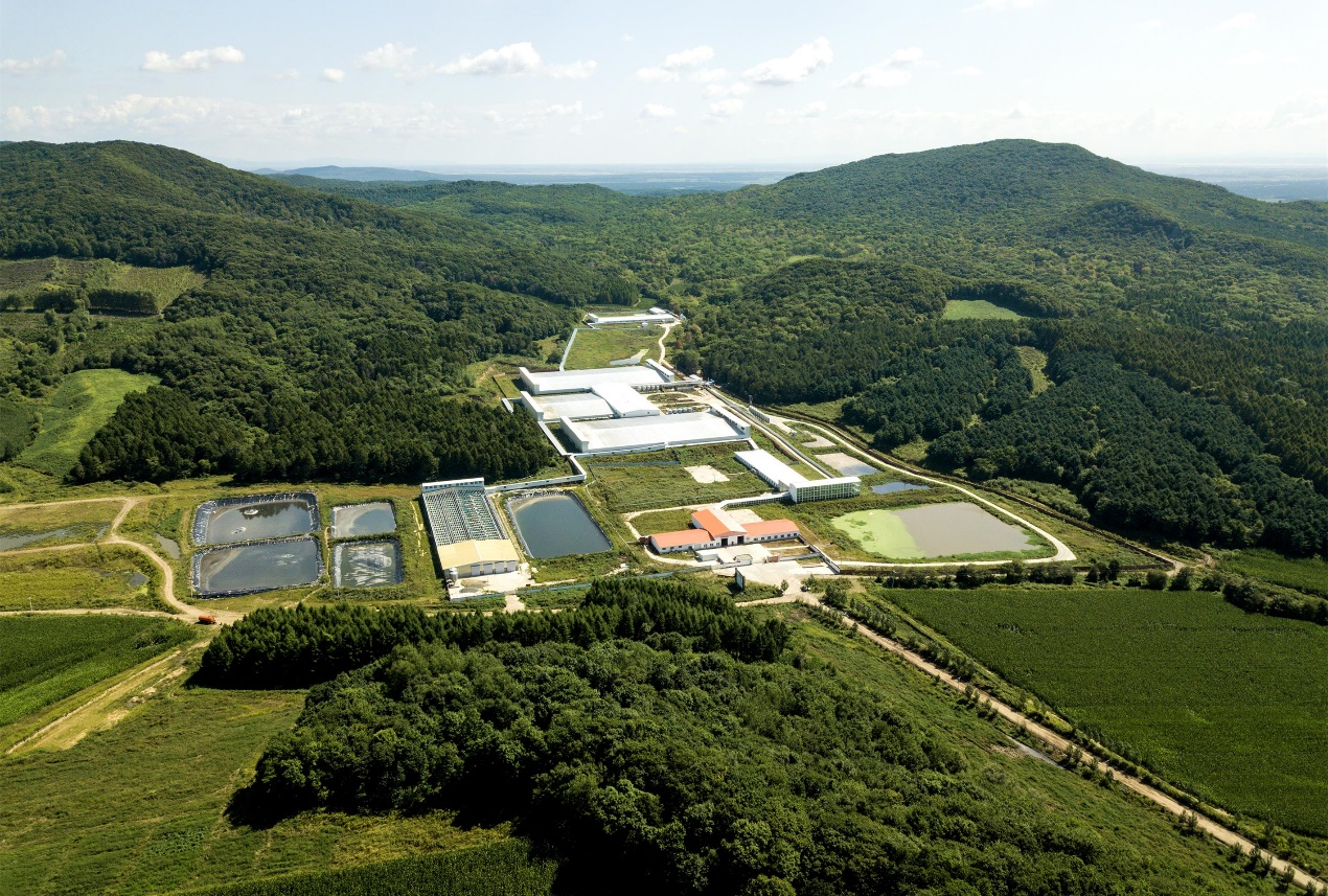 养猪技术:母猪产前少生病的保健方案