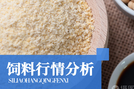 玉米期价整体维持震荡