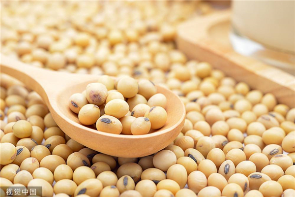 大豆拍卖近日将启动!能否缓解大豆供应紧张局势?