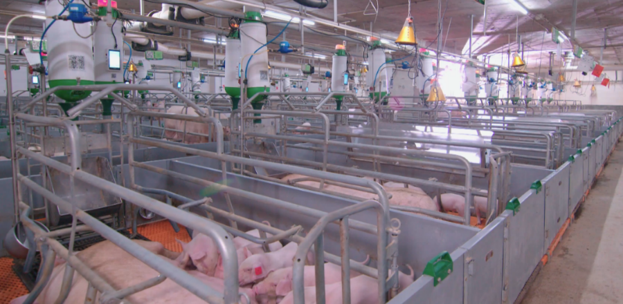 中国电子游艺网站下载安装