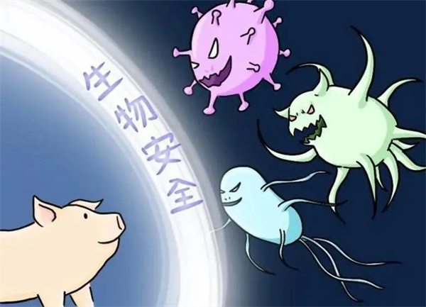 非瘟发生后,生猪死亡快,致死率高,电子游艺网站
如何防控?