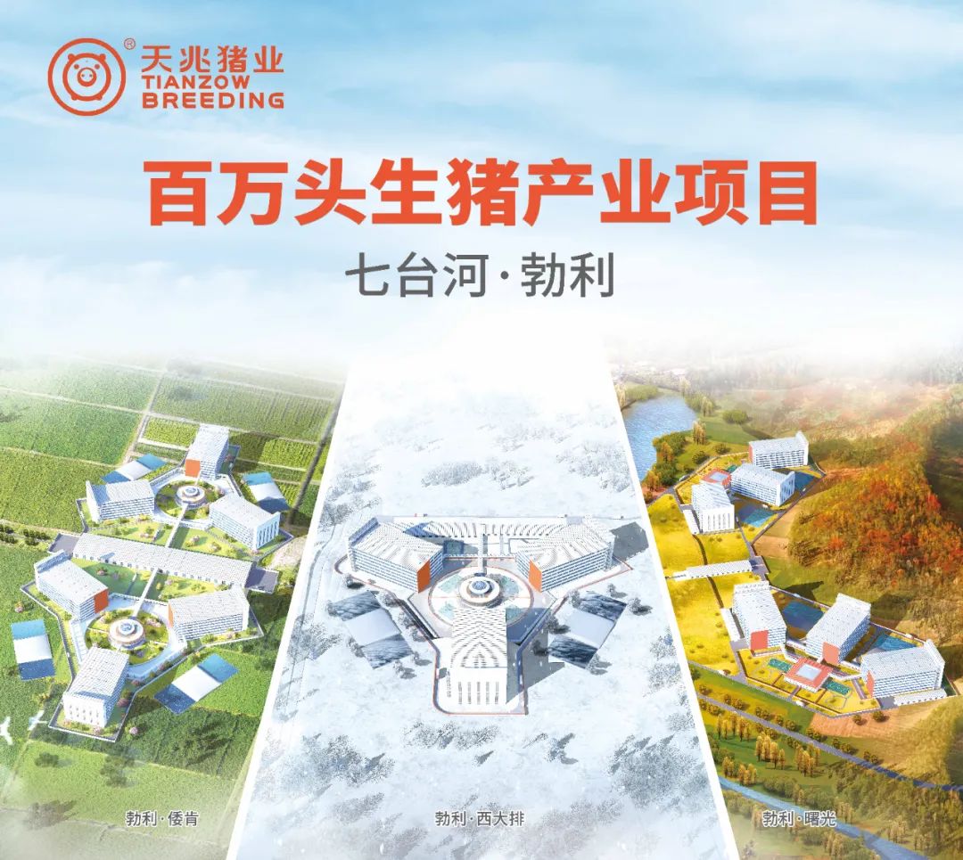 中国电子游艺网站下载安装