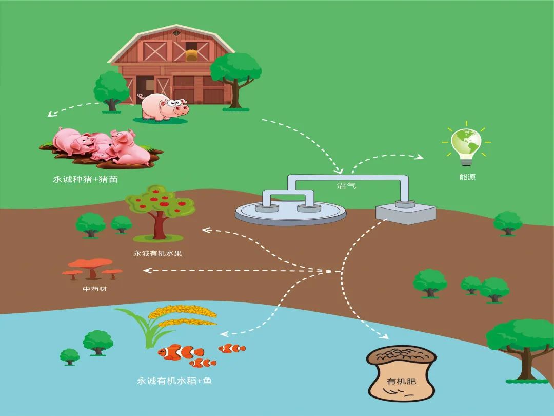 中国电子游艺网站下载安装