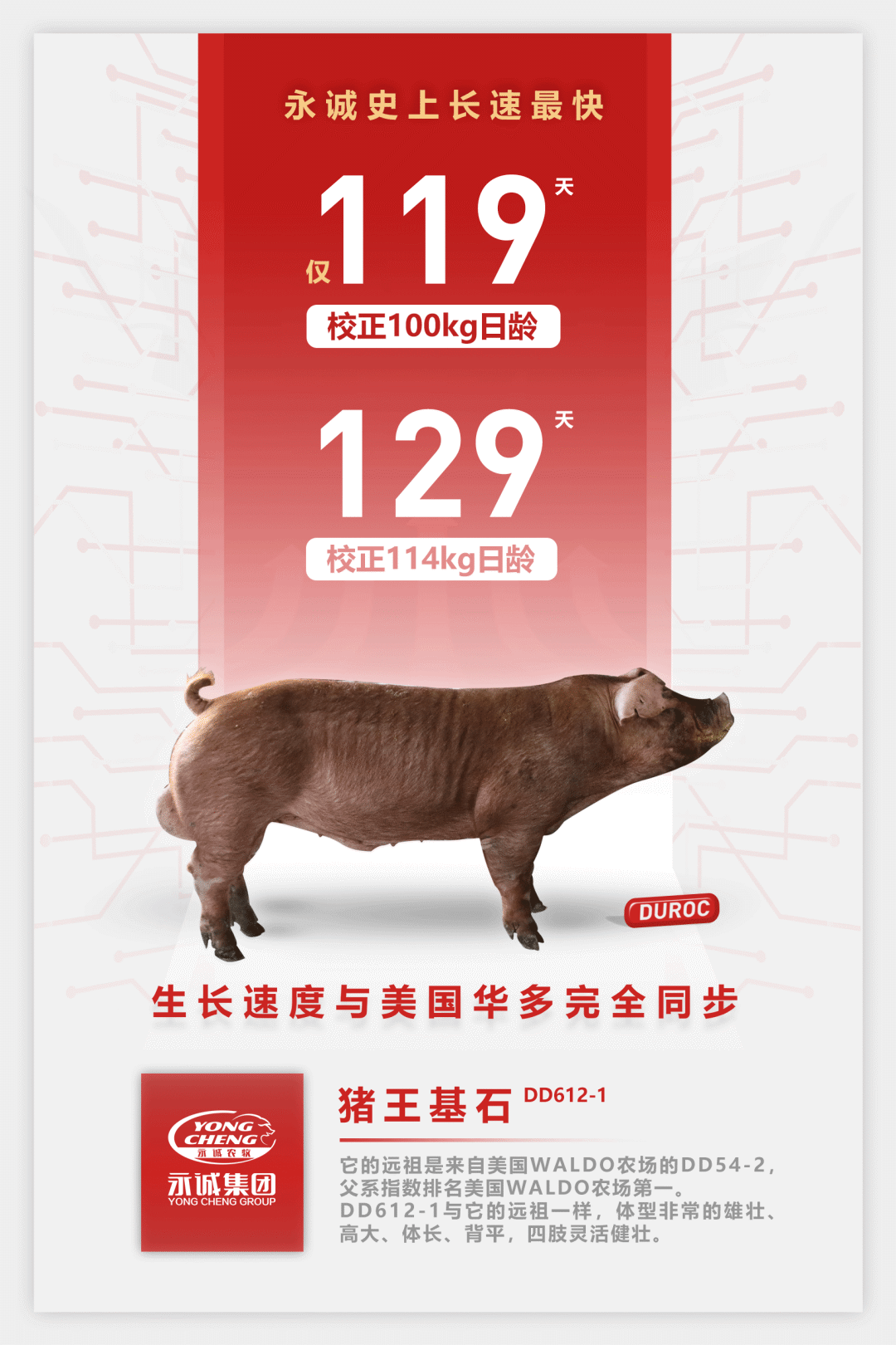 中国电子游艺网站下载安装