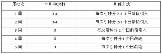 中国电子游艺网站下载安装