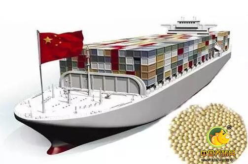 业内人士看豆粕:国内豆粕价格正常调整还是已经见顶?