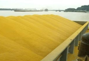 国产DDGS的春天真的来了吗?