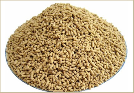 全价饲料为什么越来越受欢迎?