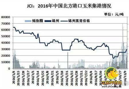 我国东北玉米外运紧张连累南方,铁路和进口谷物优势明显
