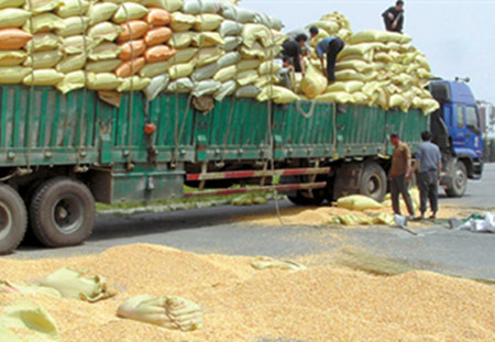 政府严打货车超载令供应受阻 饲料谷物买家放眼海外