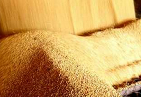 豆粕行情继续看多?先等等吧