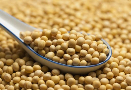 美国农业部:上周美国对中国大陆装运大约4船大豆