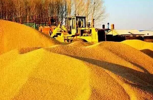 这些年养猪你都浪费了多少粮食!