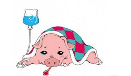 这种病常造成猪剧烈腹泻甚至死亡,怎么防治?