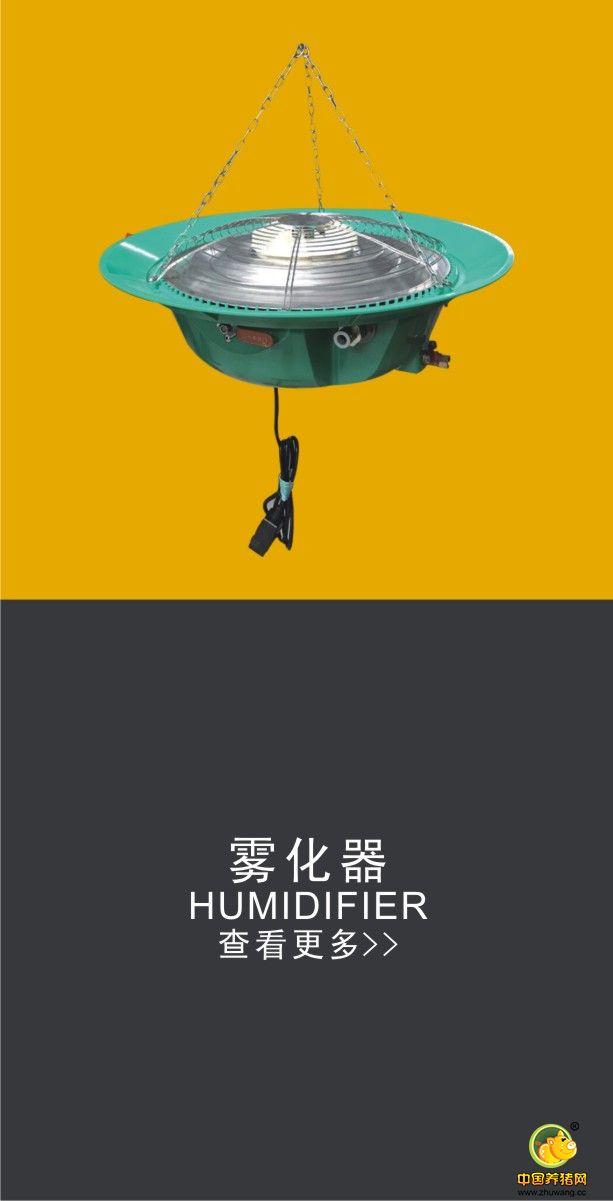内容标题
