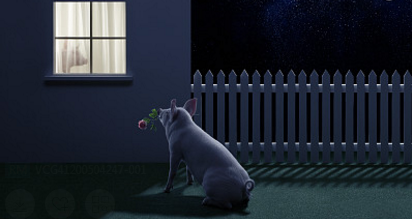 猪得了低温症还有的治吗?