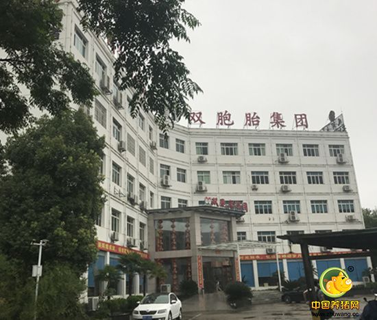 参观双胞胎集团江西总部