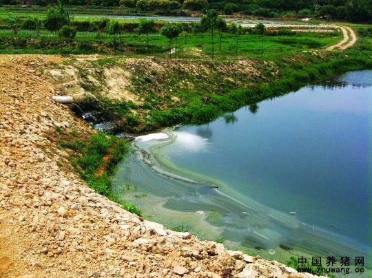 上游一家养电子游艺网站
排出的污水直接注入水库