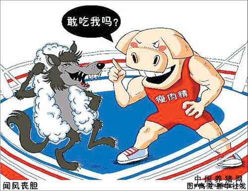 确保食品安全 从挽救道德滑坡做起