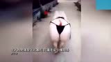 肥猪穿上比基尼 风骚走姿引爆网络,太骚气了哈哈哈