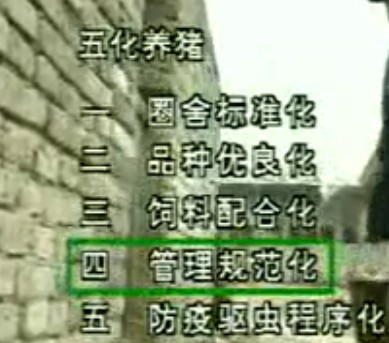 高效益养猪技术(上)