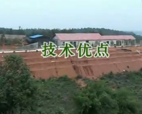 新型环保养猪模式