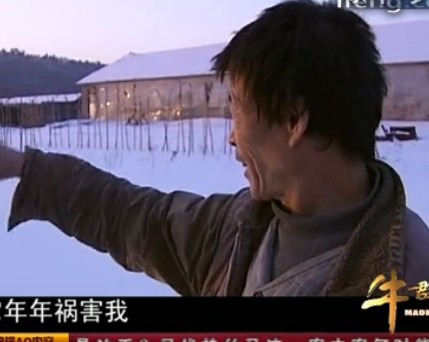 杂交配出黄金种(4)