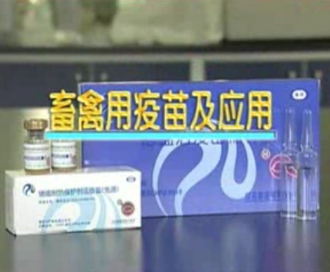 畜禽用疫苗及应用技术视频