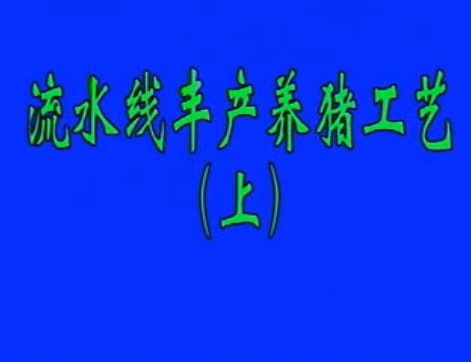 流水线丰产养猪工艺(上)