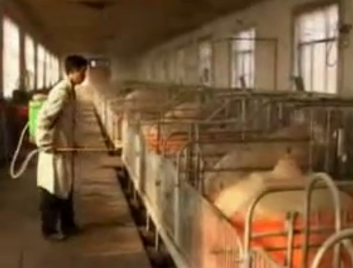 电子游艺网站
生物安全规程