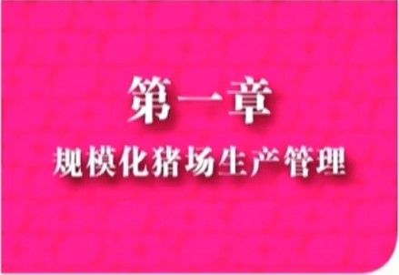 规模化电子游艺网站
生产管理