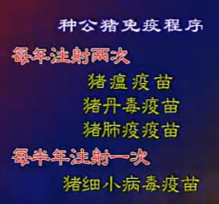 科学养猪实用技术