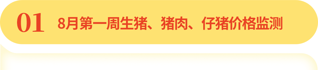 中国电子游艺网站下载安装